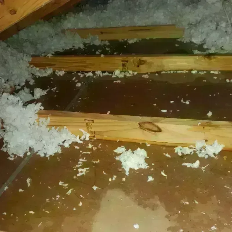 Attic Water Damage in Plains, MT