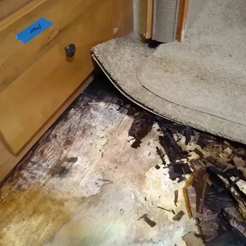 Wood Floor Water Damage in Plains, MT